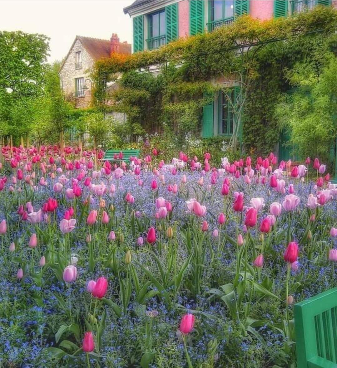 Forest Farm Bois-Jerome-Saint-Ouen Экстерьер фото