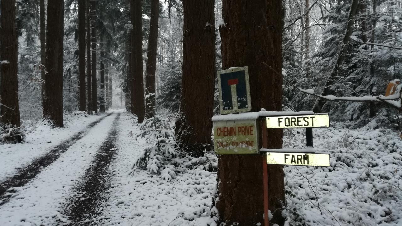 Forest Farm Bois-Jerome-Saint-Ouen Экстерьер фото